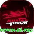 2090win BR Pro